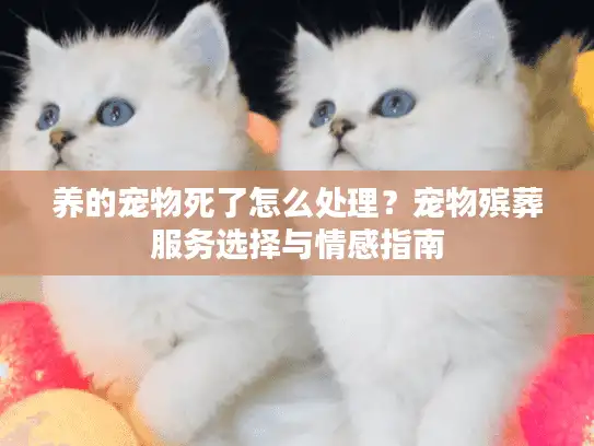 养的宠物死了怎么处理？宠物殡葬服务选择与情感指南