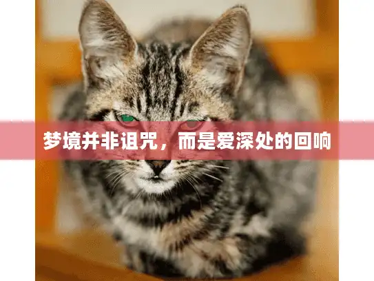 梦境并非诅咒，而是爱深处的回响