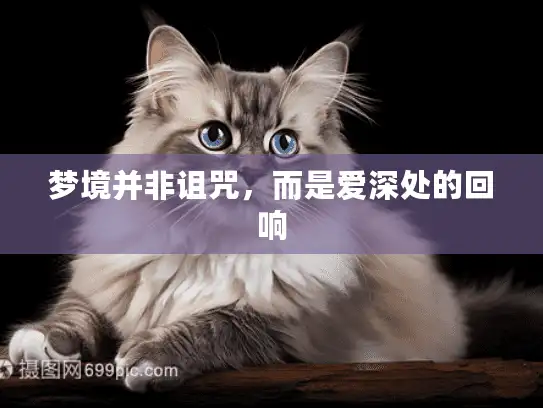 梦境并非诅咒，而是爱深处的回响