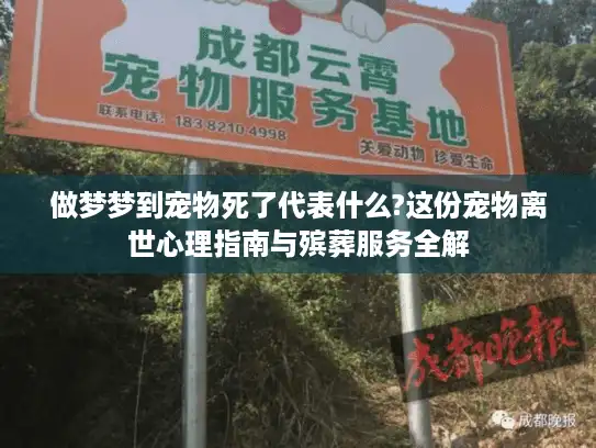 做梦梦到宠物死了代表什么?这份宠物离世心理指南与殡葬服务全解