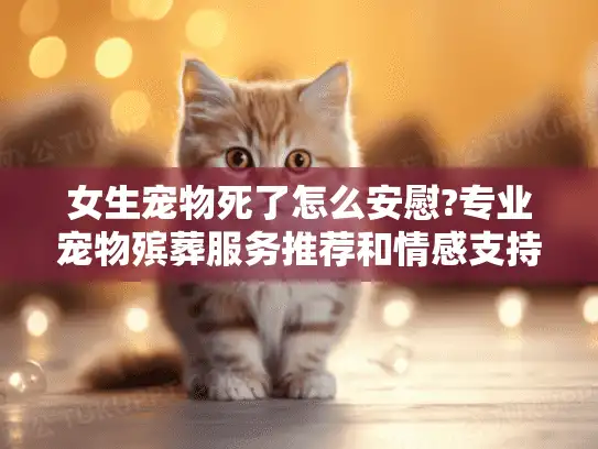 女生宠物死了怎么安慰?专业宠物殡葬服务推荐和情感支持指南