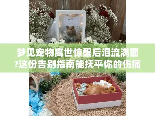 梦见宠物离世惊醒后泪流满面?这份告别指南能抚平你的伤痛