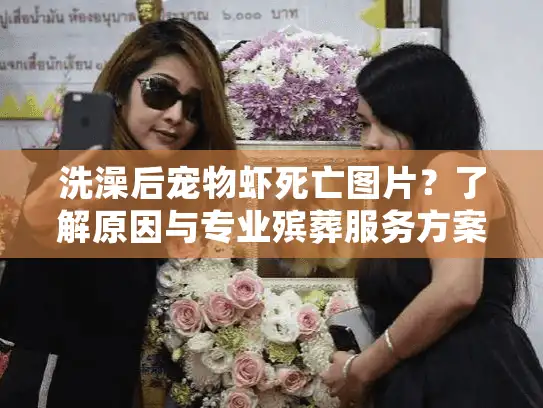 洗澡后宠物虾死亡图片？了解原因与专业殡葬服务方案