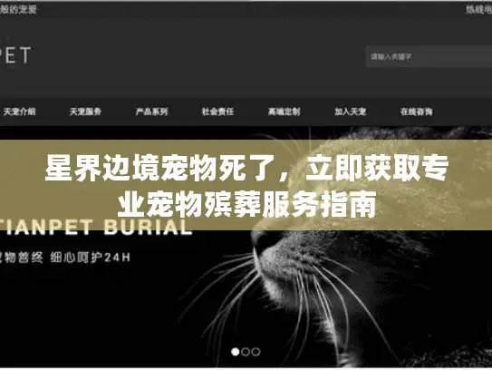 星界边境宠物死了，立即获取专业宠物殡葬服务指南