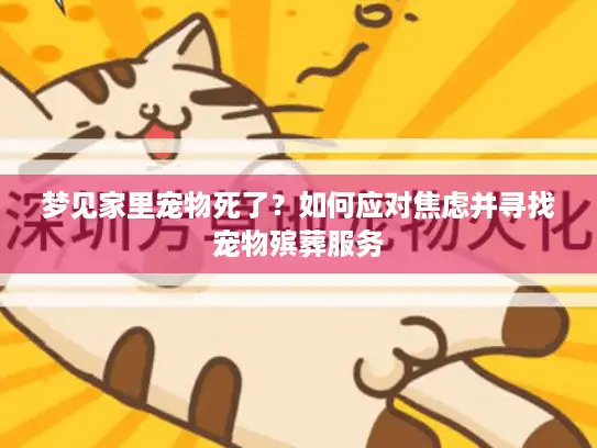 梦见家里宠物死了？如何应对焦虑并寻找宠物殡葬服务