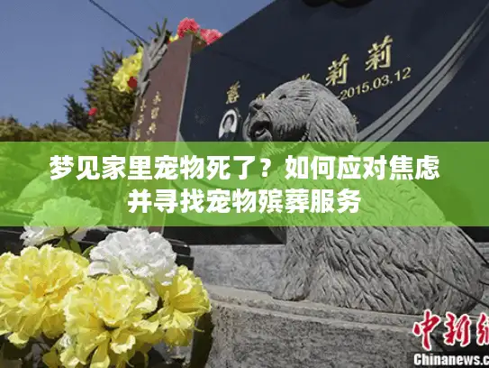 梦见家里宠物死了？如何应对焦虑并寻找宠物殡葬服务
