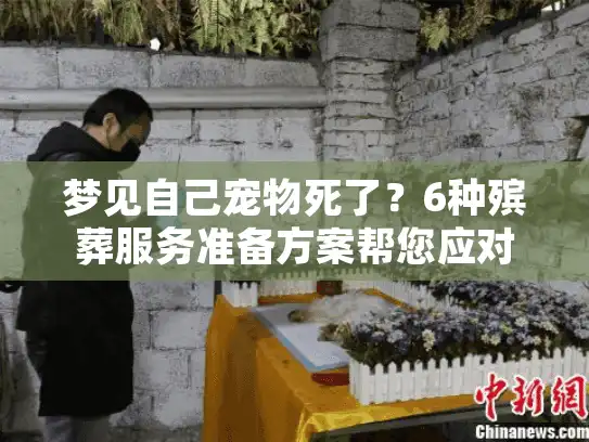 梦见自己宠物死了？6种殡葬服务准备方案帮您应对悲痛时刻