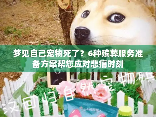 梦见自己宠物死了？6种殡葬服务准备方案帮您应对悲痛时刻