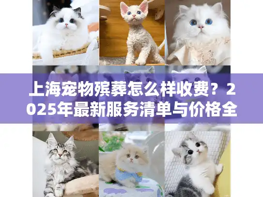 上海宠物殡葬怎么样收费？2025年最新服务清单与价格全解析