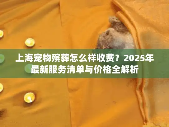 上海宠物殡葬怎么样收费？2025年最新服务清单与价格全解析