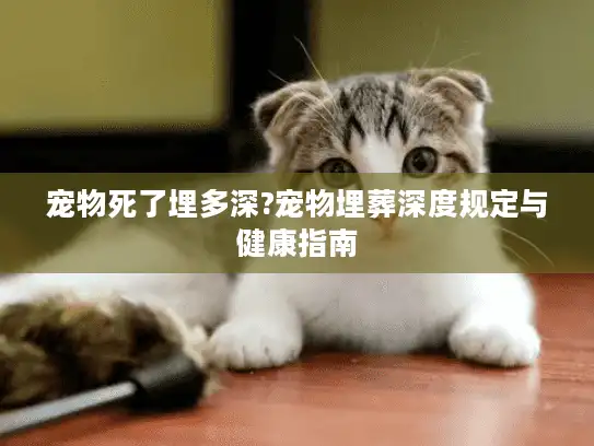 宠物死了埋多深?宠物埋葬深度规定与健康指南