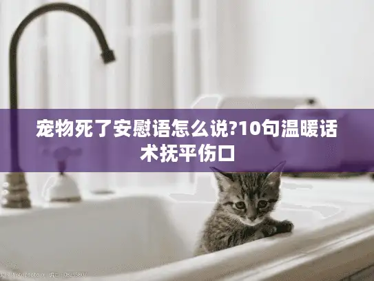 宠物死了安慰语怎么说?10句温暖话术抚平伤口