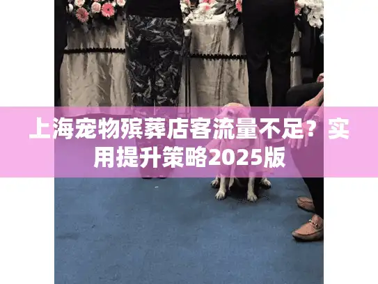 上海宠物殡葬店客流量不足？实用提升策略2025版