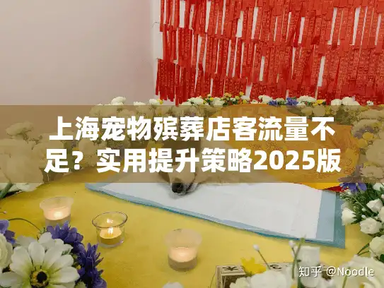 上海宠物殡葬店客流量不足？实用提升策略2025版
