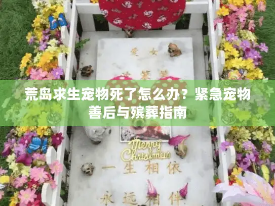 荒岛求生宠物死了怎么办？紧急宠物善后与殡葬指南