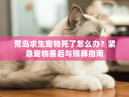 荒岛求生宠物死了怎么办？紧急宠物善后与殡葬指南