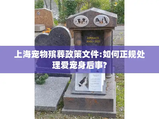 上海宠物殡葬政策文件:如何正规处理爱宠身后事?