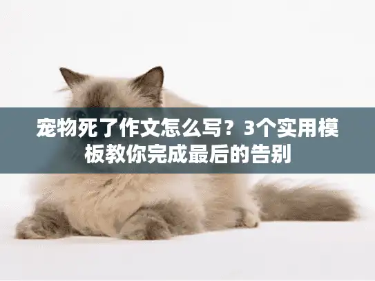 宠物死了作文怎么写？3个实用模板教你完成最后的告别