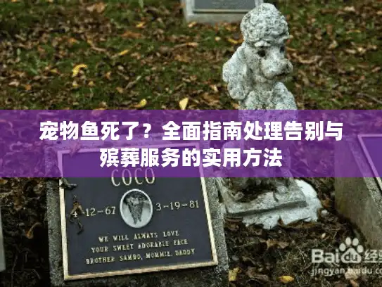 宠物鱼死了？全面指南处理告别与殡葬服务的实用方法