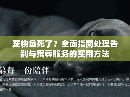 宠物鱼死了？全面指南处理告别与殡葬服务的实用方法