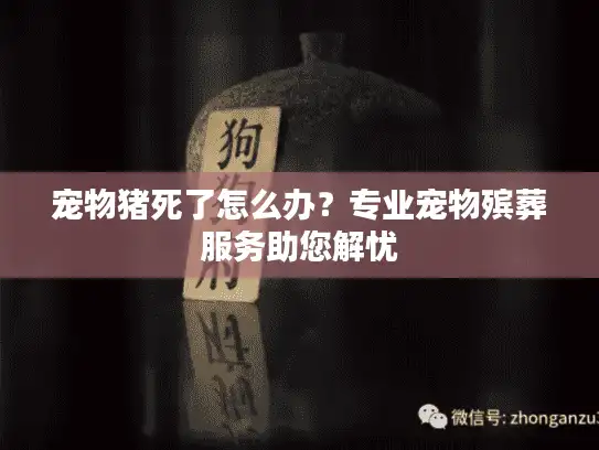 宠物猪死了怎么办？专业宠物殡葬服务助您解忧