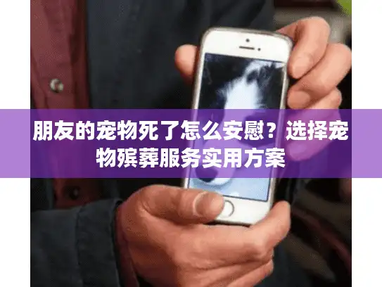 朋友的宠物死了怎么安慰？选择宠物殡葬服务实用方案