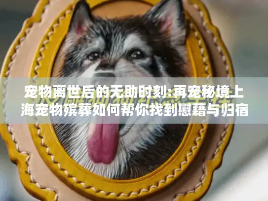 宠物离世后的无助时刻:再宠秘境上海宠物殡葬如何帮你找到慰藉与归宿