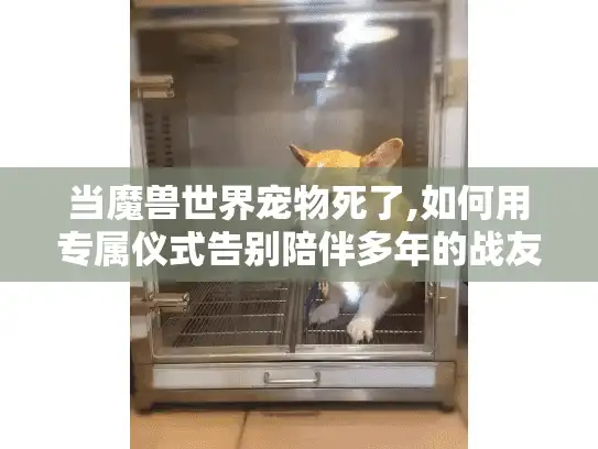 当魔兽世界宠物死了,如何用专属仪式告别陪伴多年的战友?