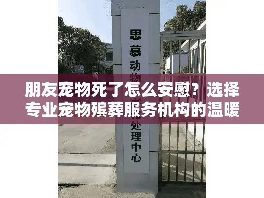 朋友宠物死了怎么安慰？选择专业宠物殡葬服务机构的温暖方案