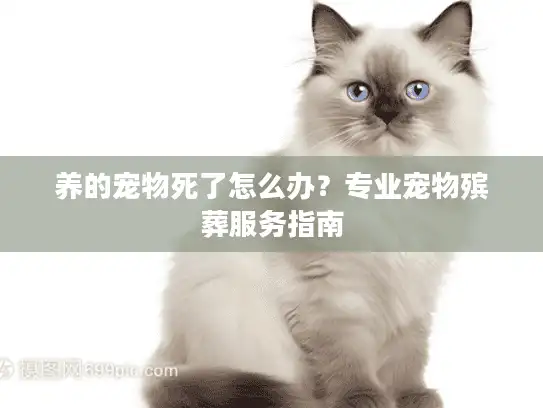 养的宠物死了怎么办？专业宠物殡葬服务指南