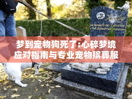 梦到宠物狗死了:心碎梦境应对指南与专业宠物殡葬服务咨询