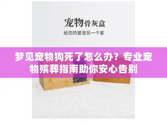 梦见宠物狗死了怎么办？专业宠物殡葬指南助你安心告别