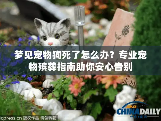 梦见宠物狗死了怎么办？专业宠物殡葬指南助你安心告别
