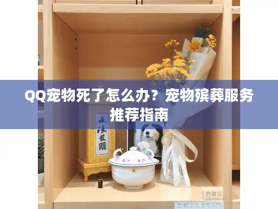QQ宠物死了怎么办？宠物殡葬服务推荐指南