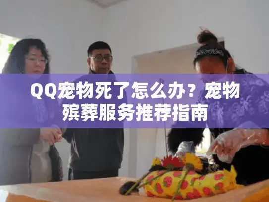 QQ宠物死了怎么办？宠物殡葬服务推荐指南