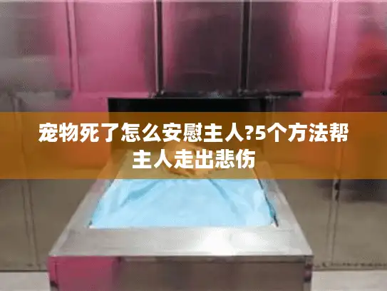 宠物死了怎么安慰主人?5个方法帮主人走出悲伤