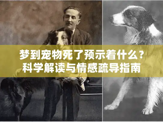 梦到宠物死了预示着什么？科学解读与情感疏导指南