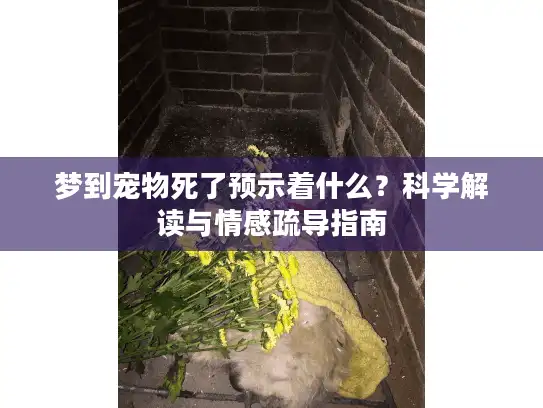 梦到宠物死了预示着什么？科学解读与情感疏导指南