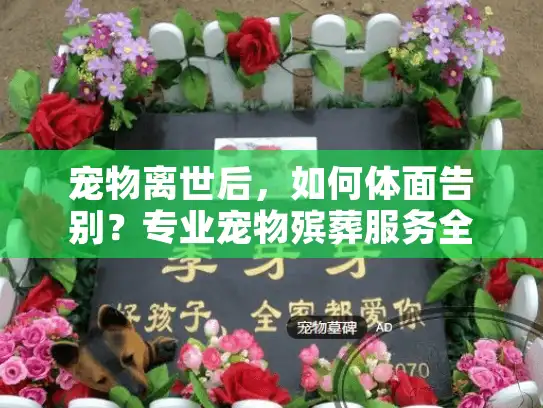 宠物离世后，如何体面告别？专业宠物殡葬服务全指南