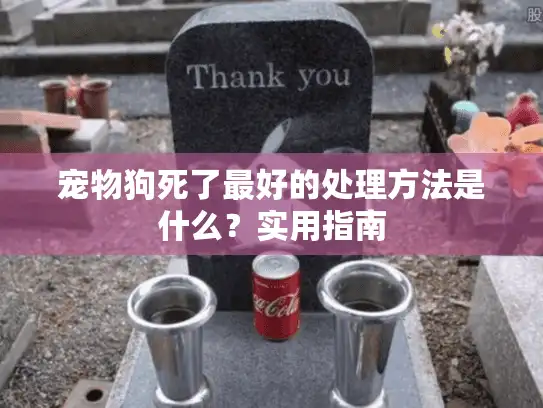 宠物狗死了最好的处理方法是什么？实用指南