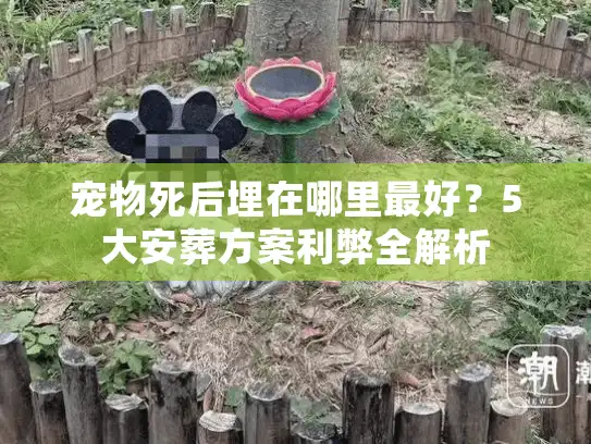 宠物死后埋在哪里最好？5大安葬方案利弊全解析