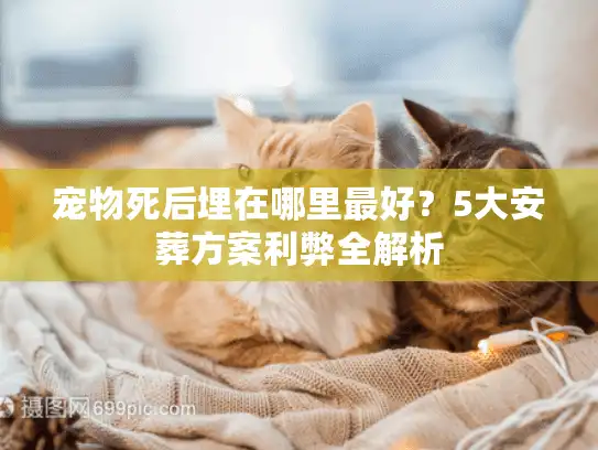 宠物死后埋在哪里最好？5大安葬方案利弊全解析