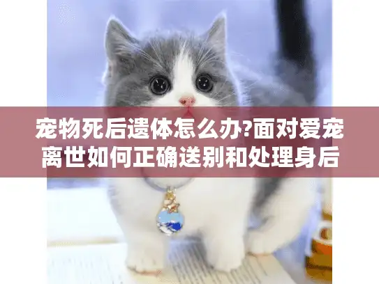宠物死后遗体怎么办?面对爱宠离世如何正确送别和处理身后事