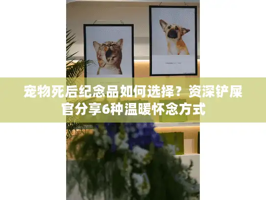 宠物死后纪念品如何选择？资深铲屎官分享6种温暖怀念方式