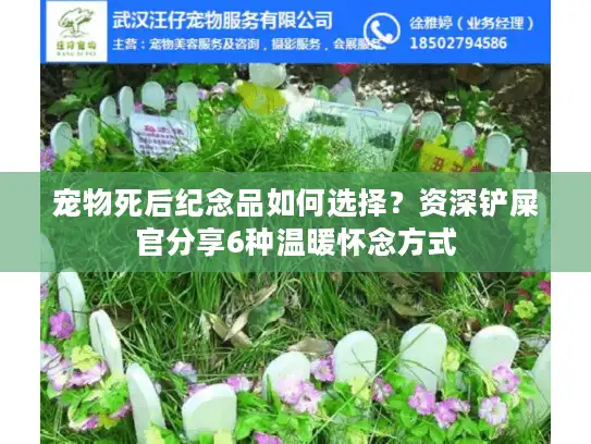 宠物死后纪念品如何选择？资深铲屎官分享6种温暖怀念方式