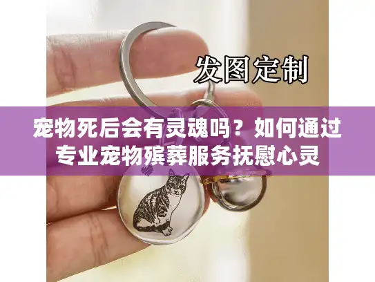 宠物死后会有灵魂吗？如何通过专业宠物殡葬服务抚慰心灵