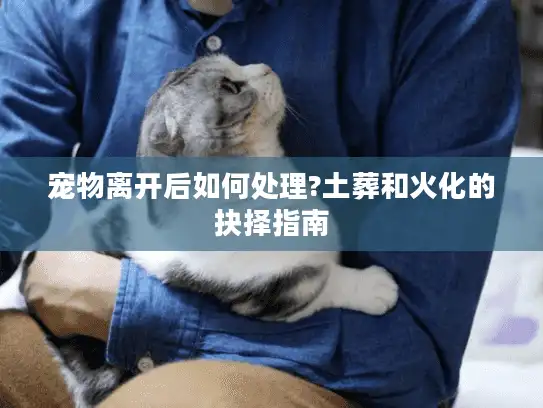 宠物离开后如何处理?土葬和火化的抉择指南