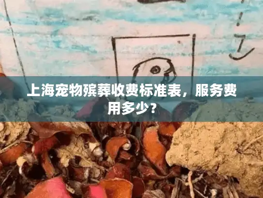 上海宠物殡葬收费标准表，服务费用多少？
