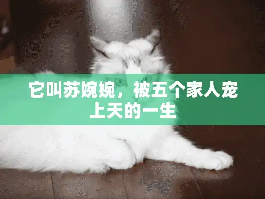 它叫苏婉婉，被五个家人宠上天的一生