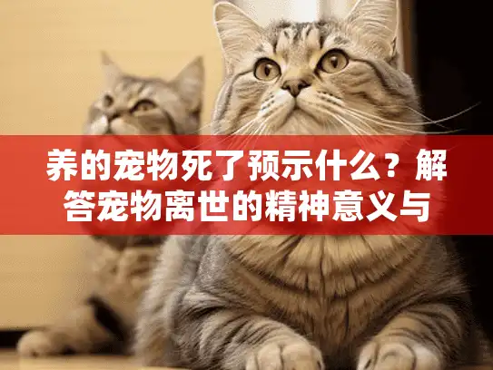 养的宠物死了预示什么？解答宠物离世的精神意义与殡葬指南